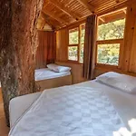 מלון Gorge Club 4*